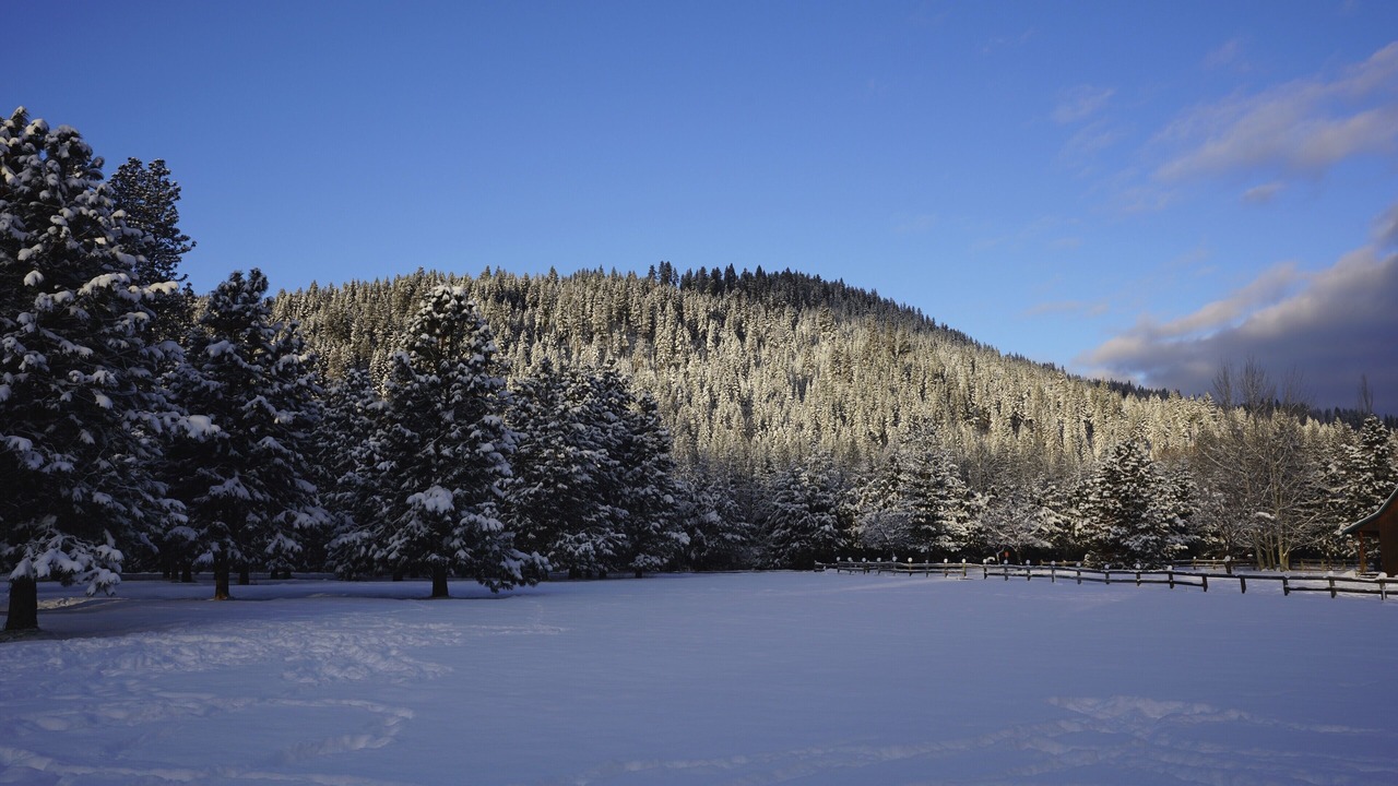 Photo of Others in Leavenworth