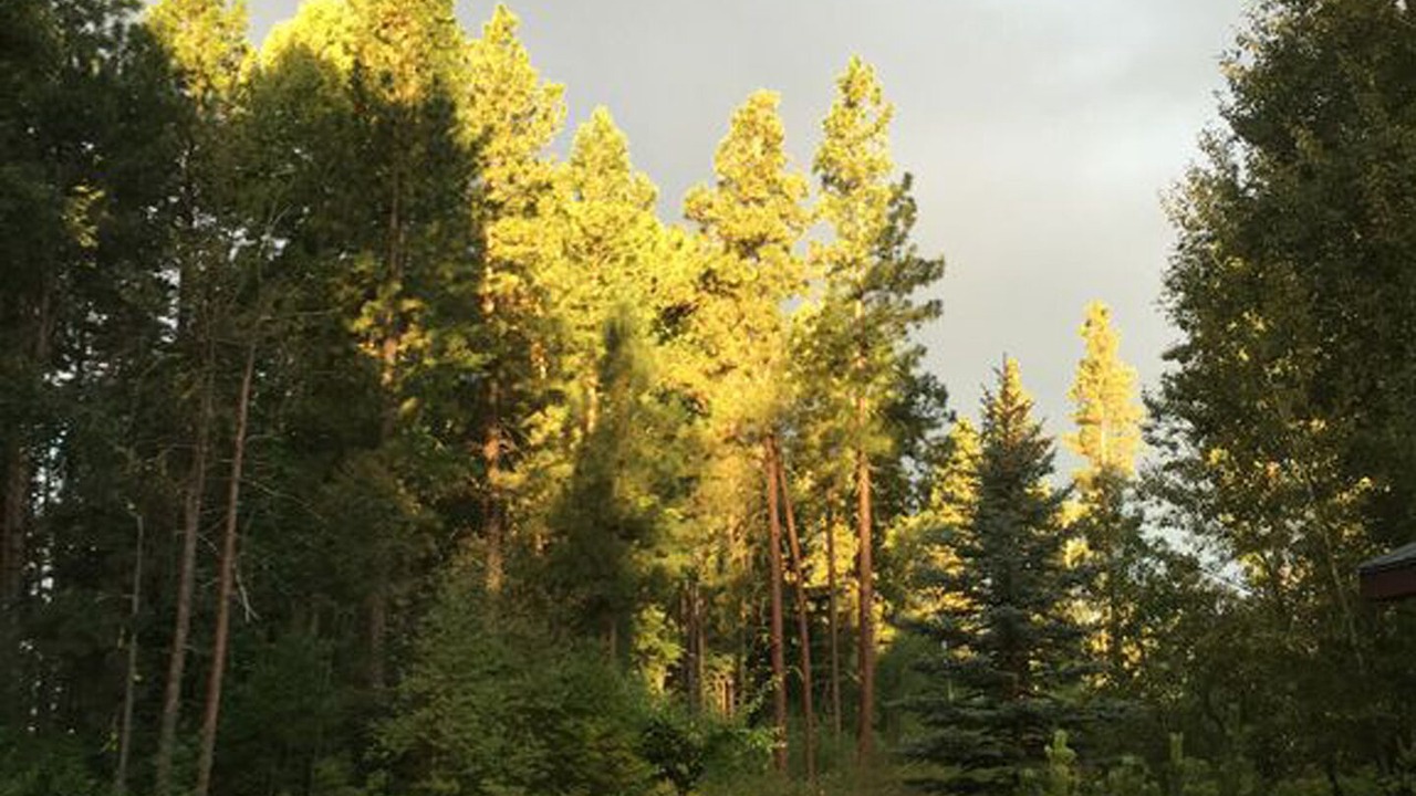 Photo of Outdoor in Cle Elum