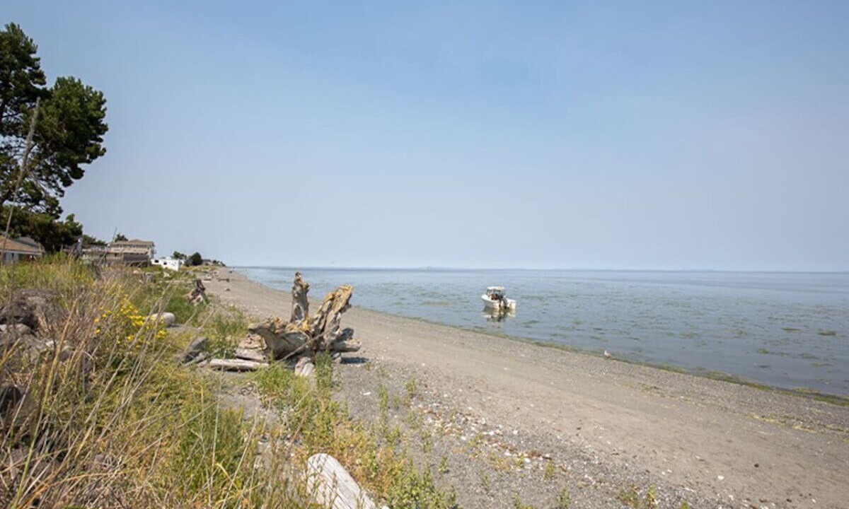 Photo of Others in Sequim