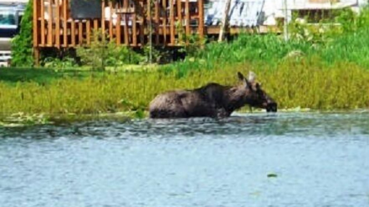 Photo of Outdoor in Twin Lakes