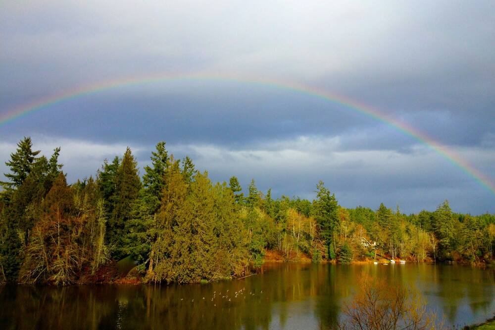 Photo of Outdoor in Longbranch