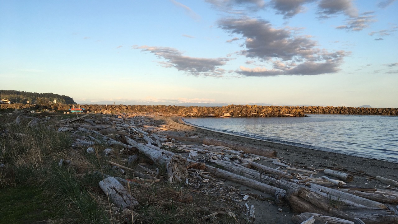 Photo of Others in Point Roberts
