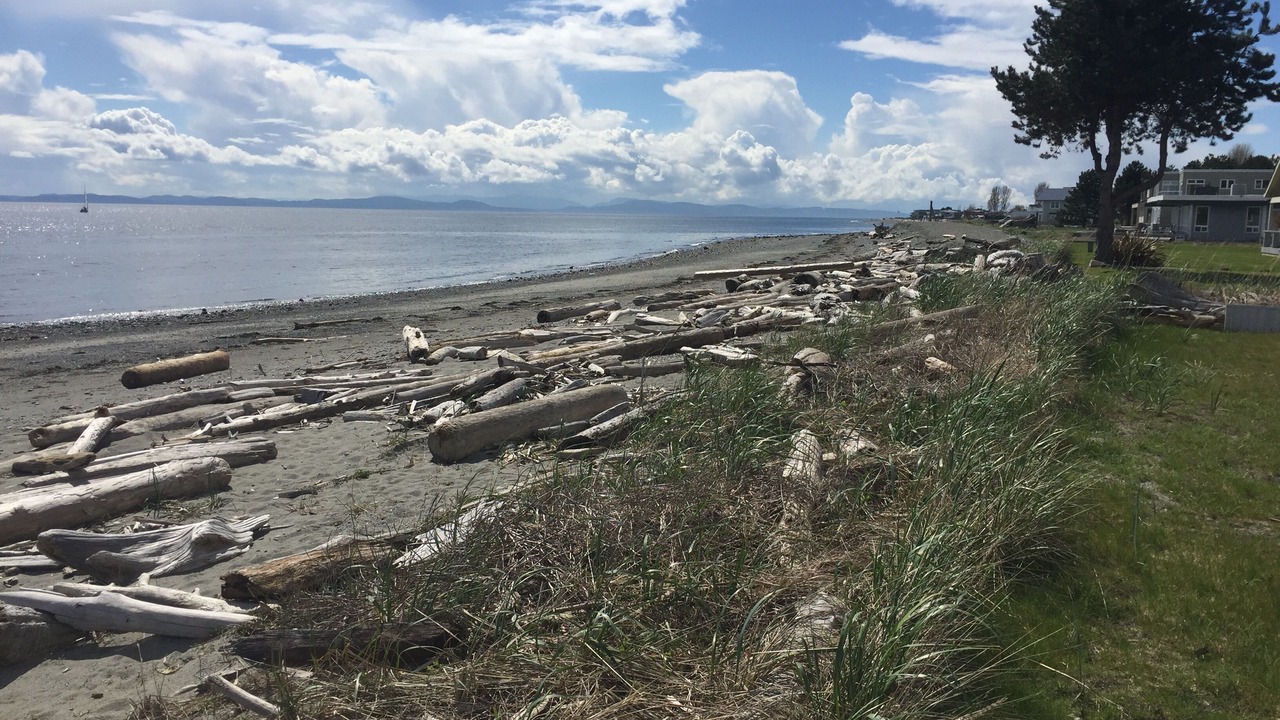 Photo of Others in Point Roberts