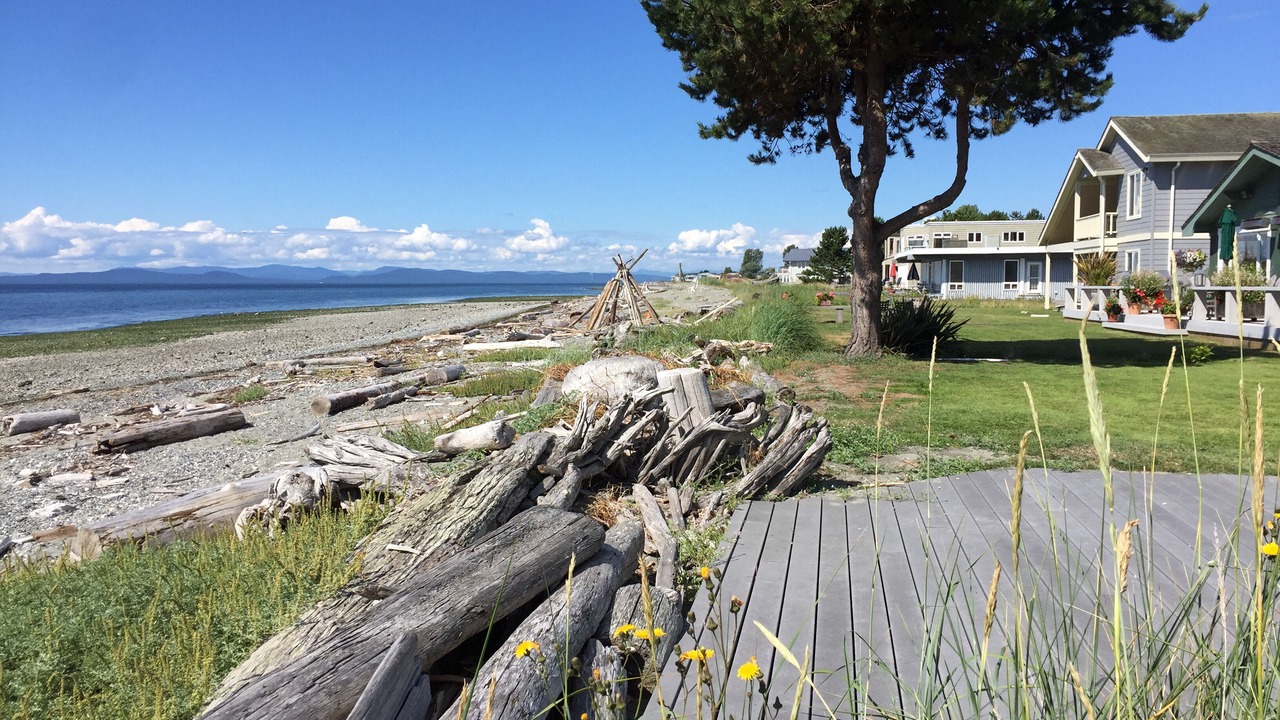 Photo of Outdoor in Point Roberts