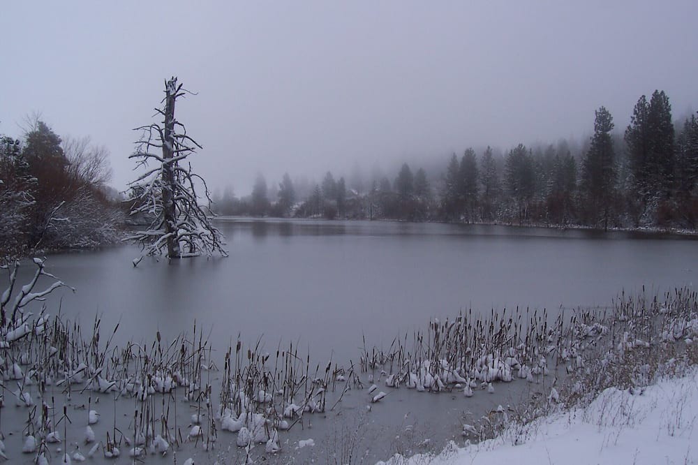 Photo of Outdoor in Lyle