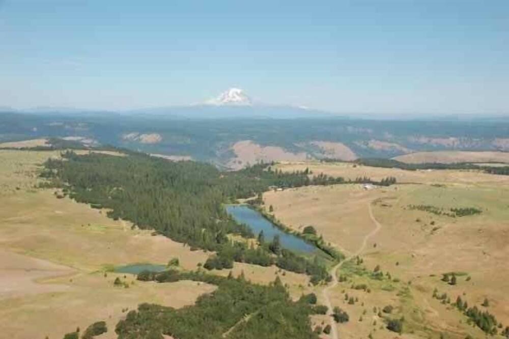 Photo of Others in Lyle