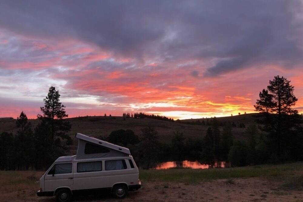 Photo of Outdoor in Lyle