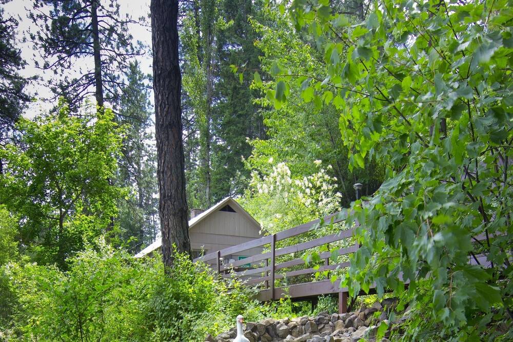 Photo of Outdoor in Hayden Lake
