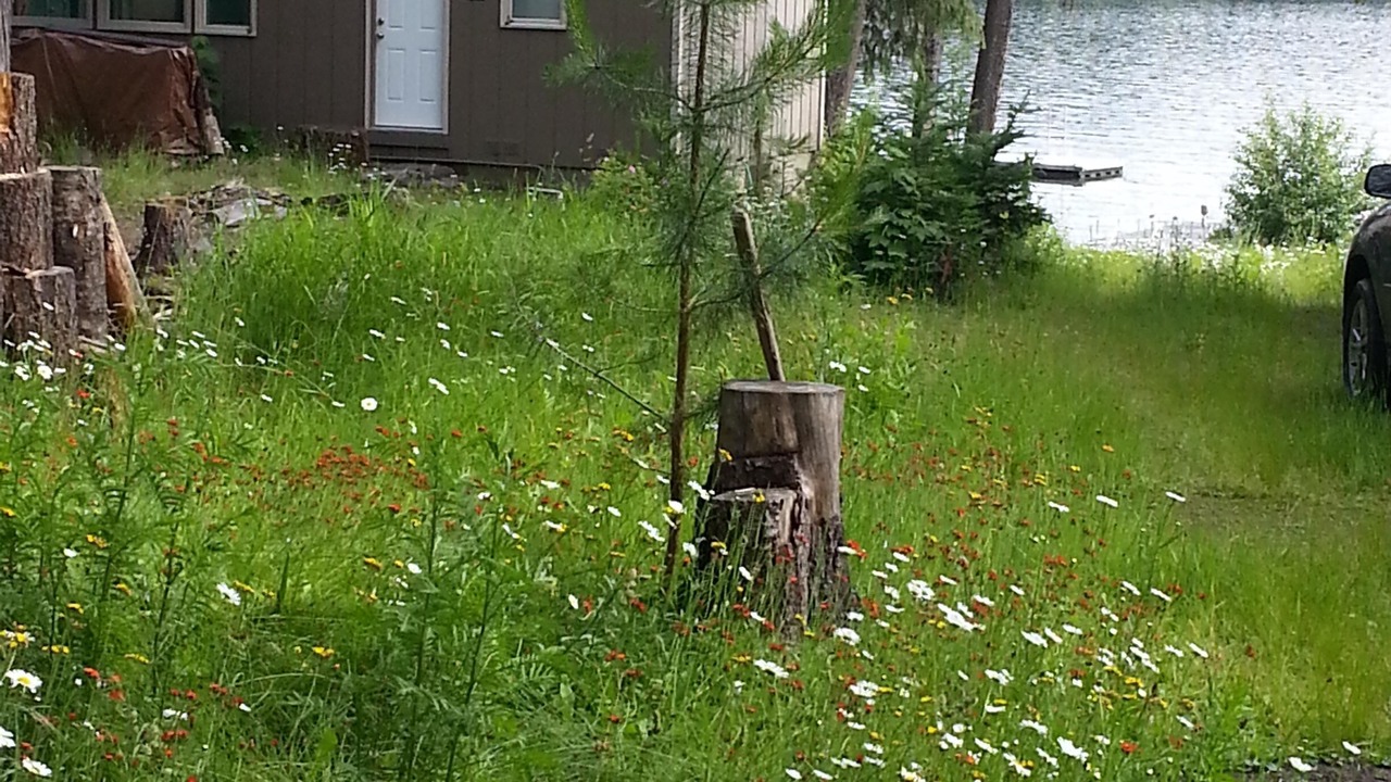 Photo of Outdoor in Coolin