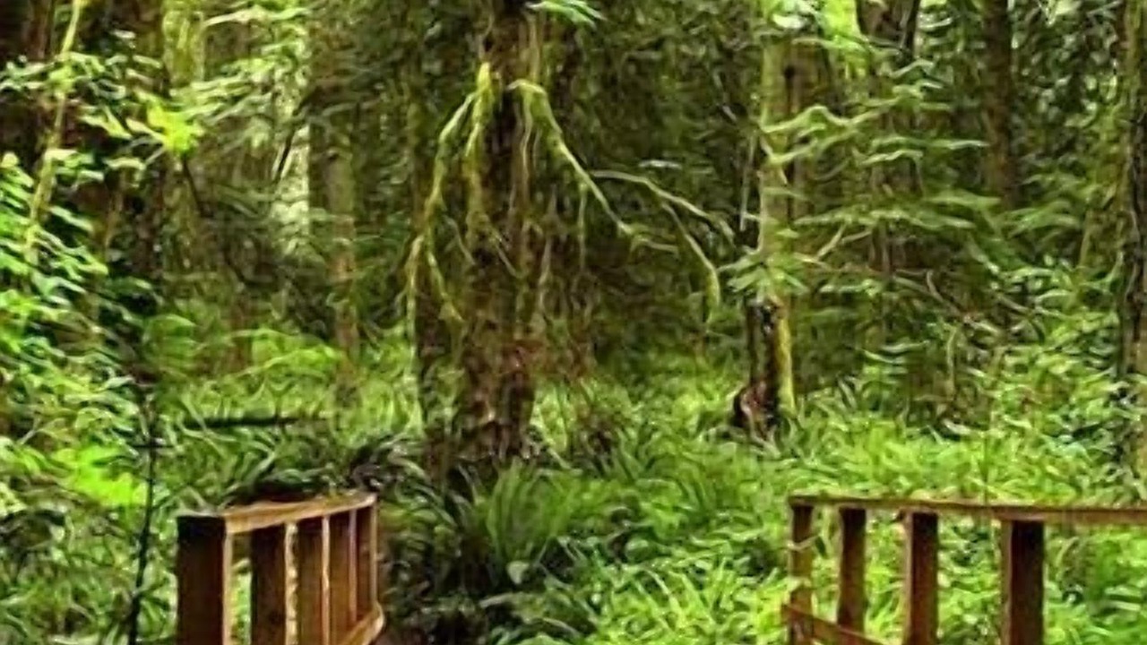 Photo of Outdoor in Rollingbay