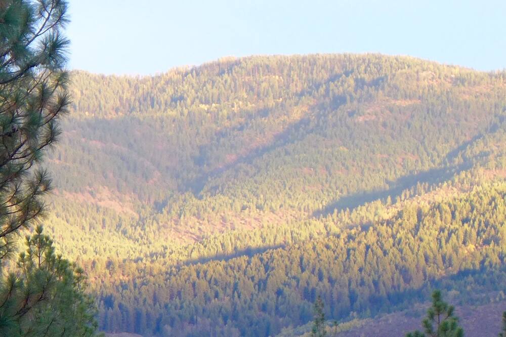 Photo of Others in Colville