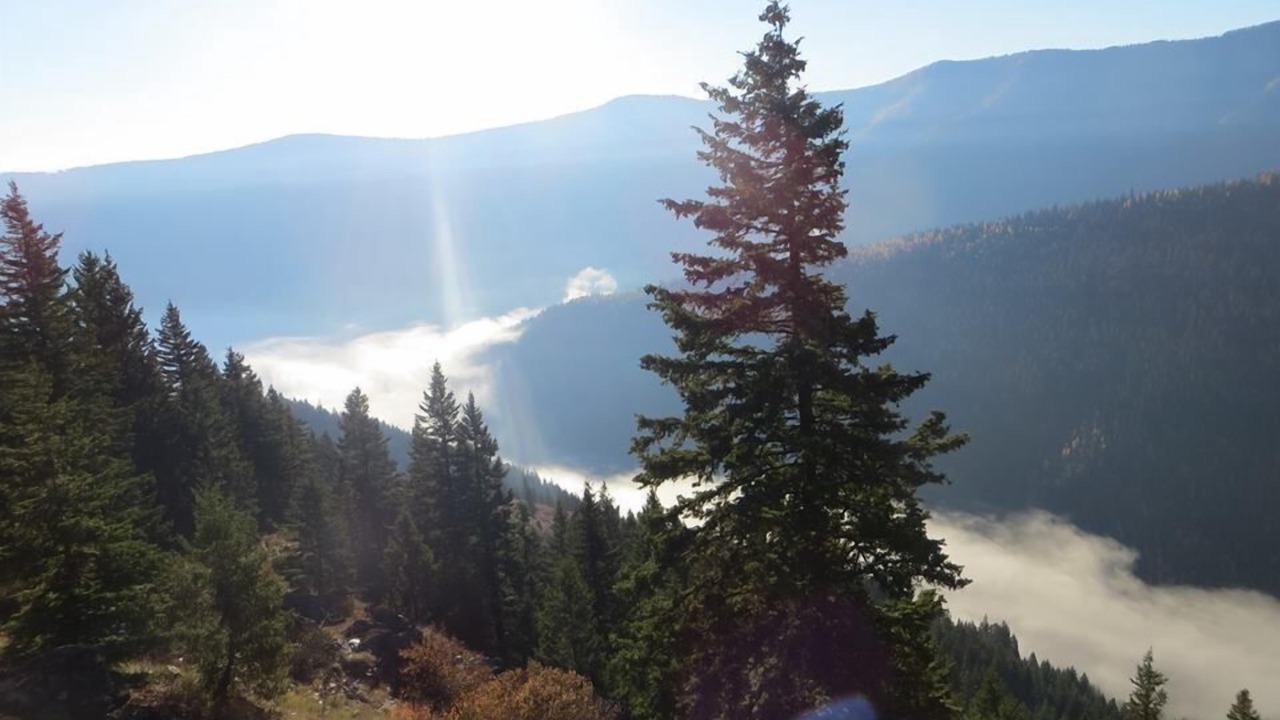 Photo of Outdoor in Trout Creek