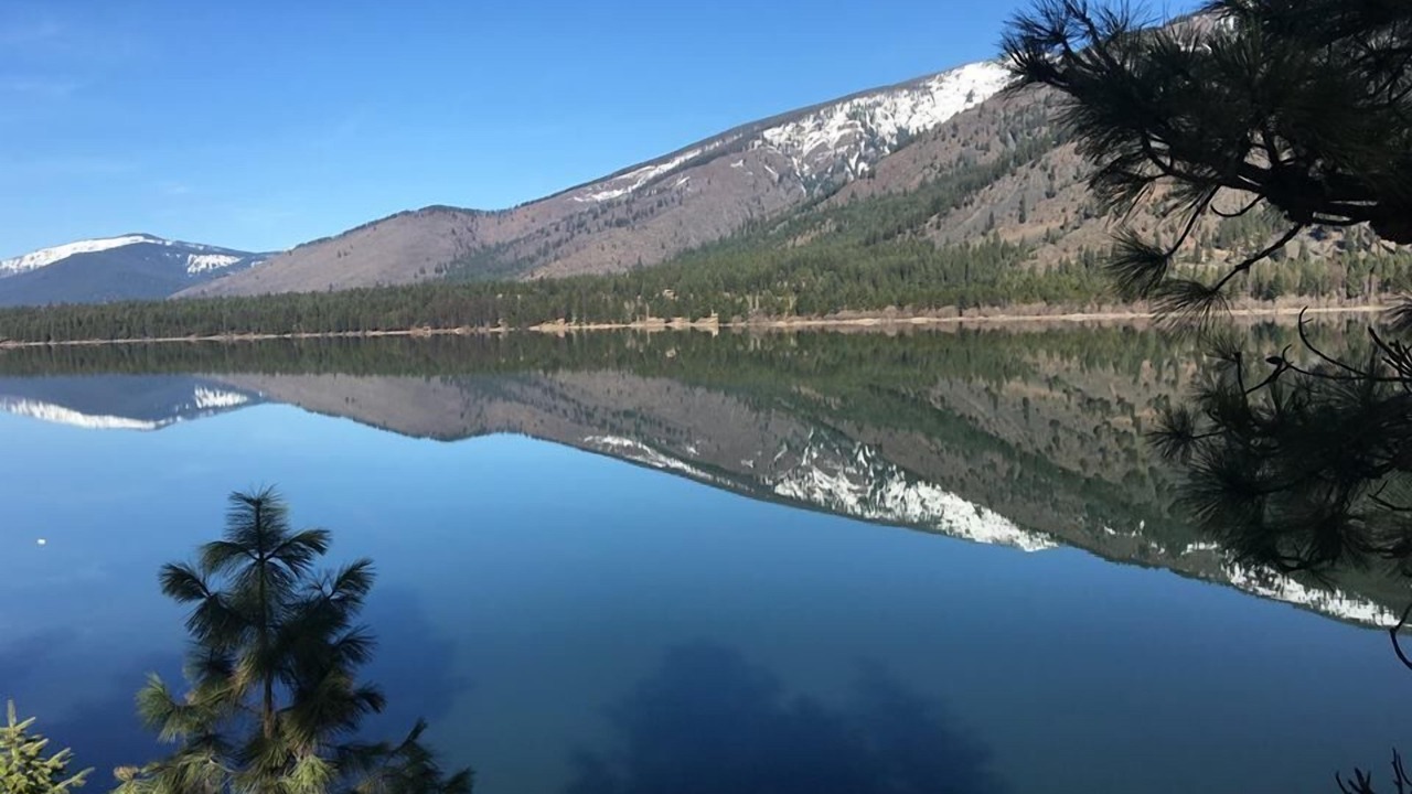Photo of Others in Trout Creek
