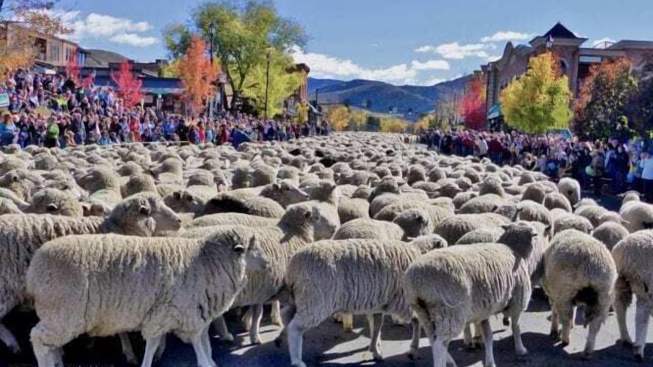 Photo of Outdoor in Ketchum