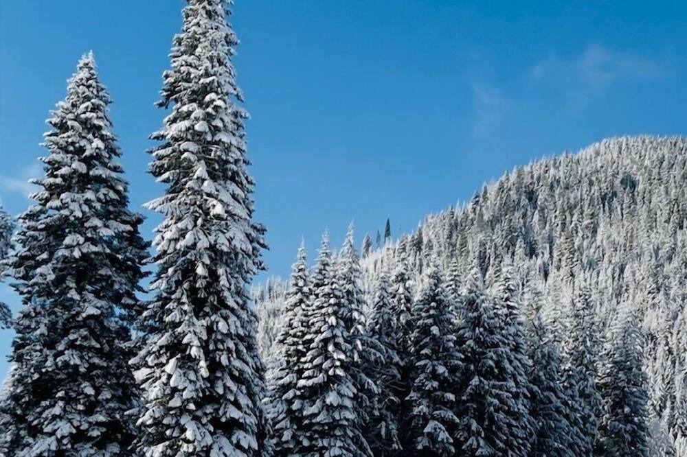 Photo of Outdoor in Leavenworth