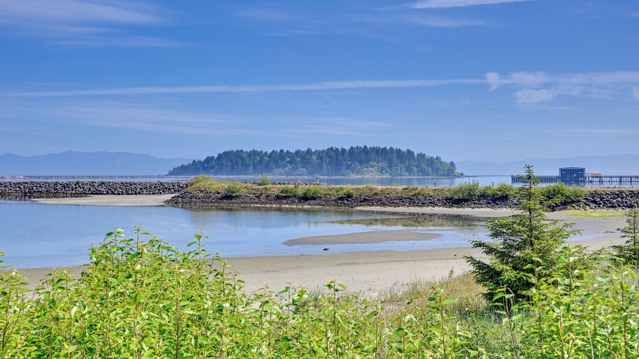Photo of Others in Neah Bay