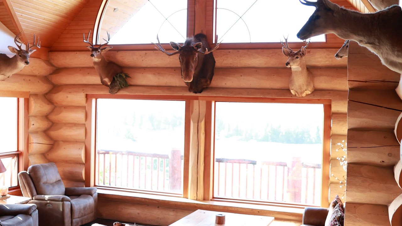 Photo of Others in Colville