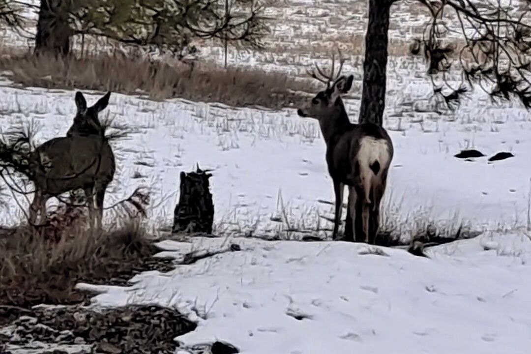 Photo of Others in Medical Lake