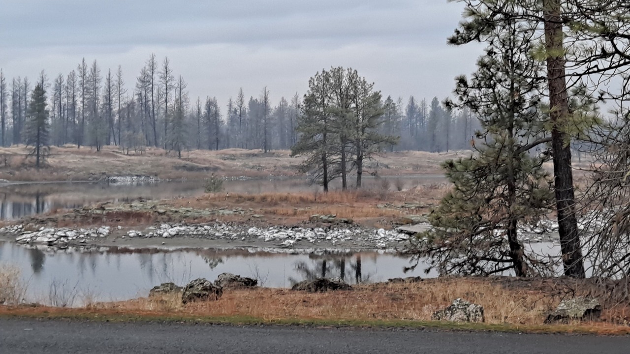Photo of Others in Medical Lake