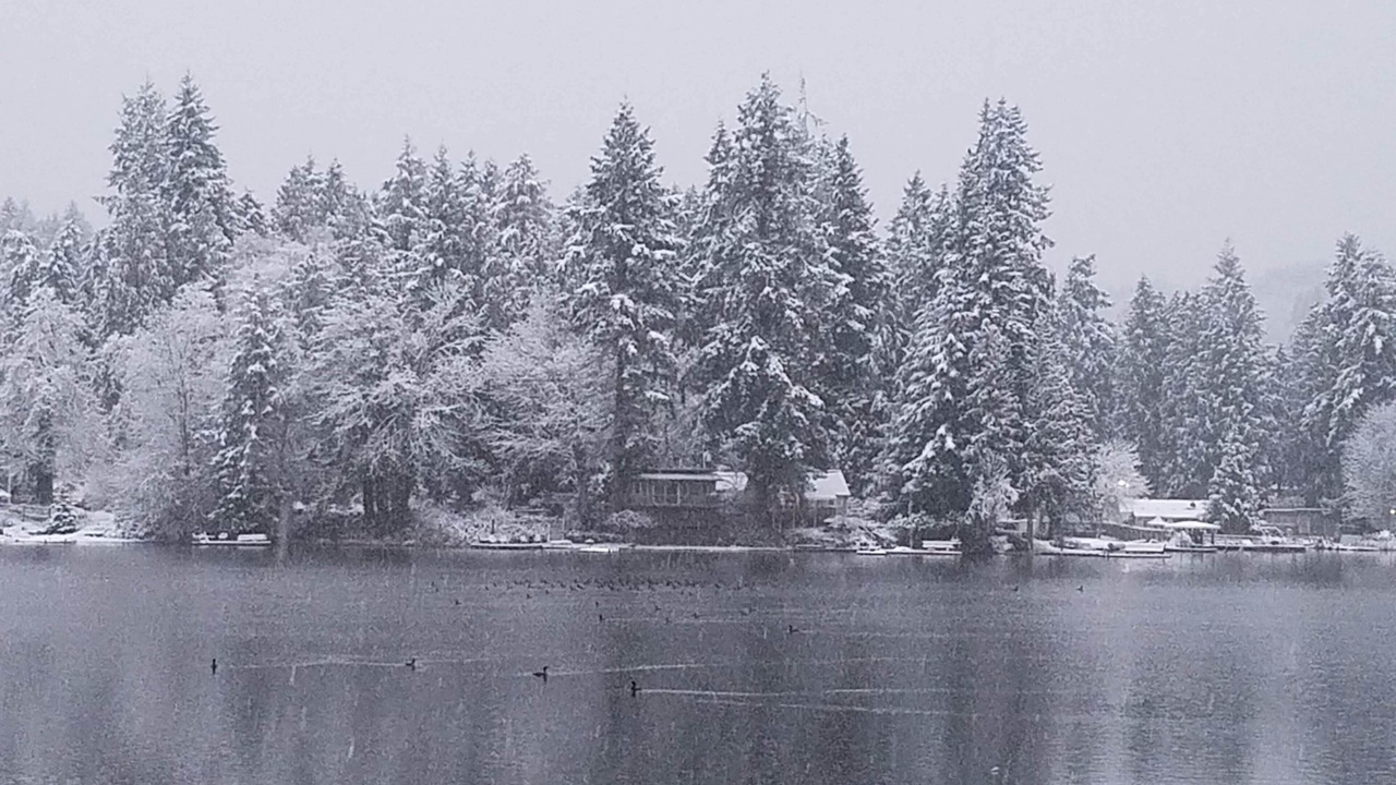 Photo of Others in Eatonville