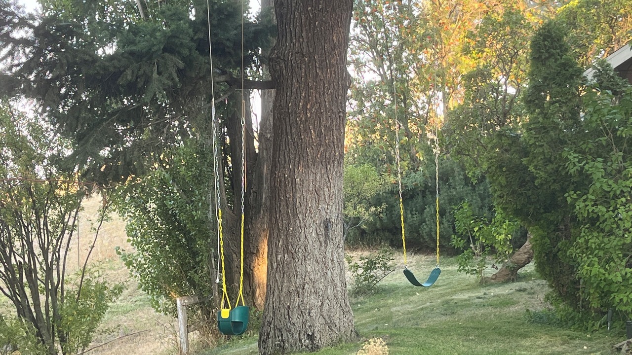Photo of Outdoor in Albion
