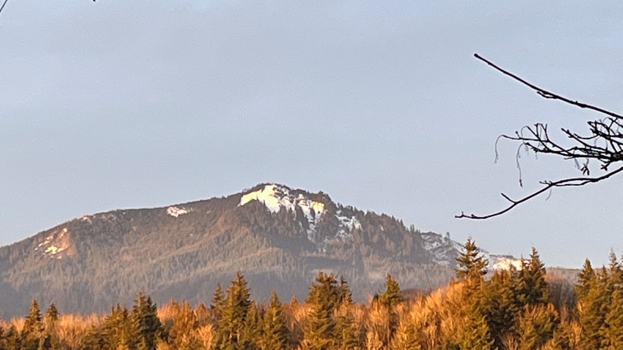 Photo of Others in Sedro-Woolley