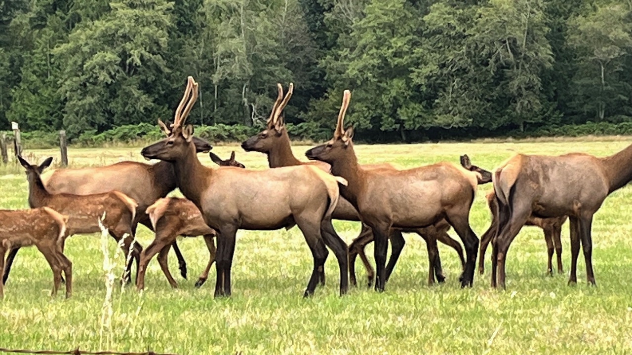 Photo of Others in Sedro-Woolley