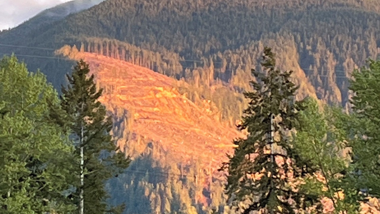 Photo of Others in Sedro-Woolley