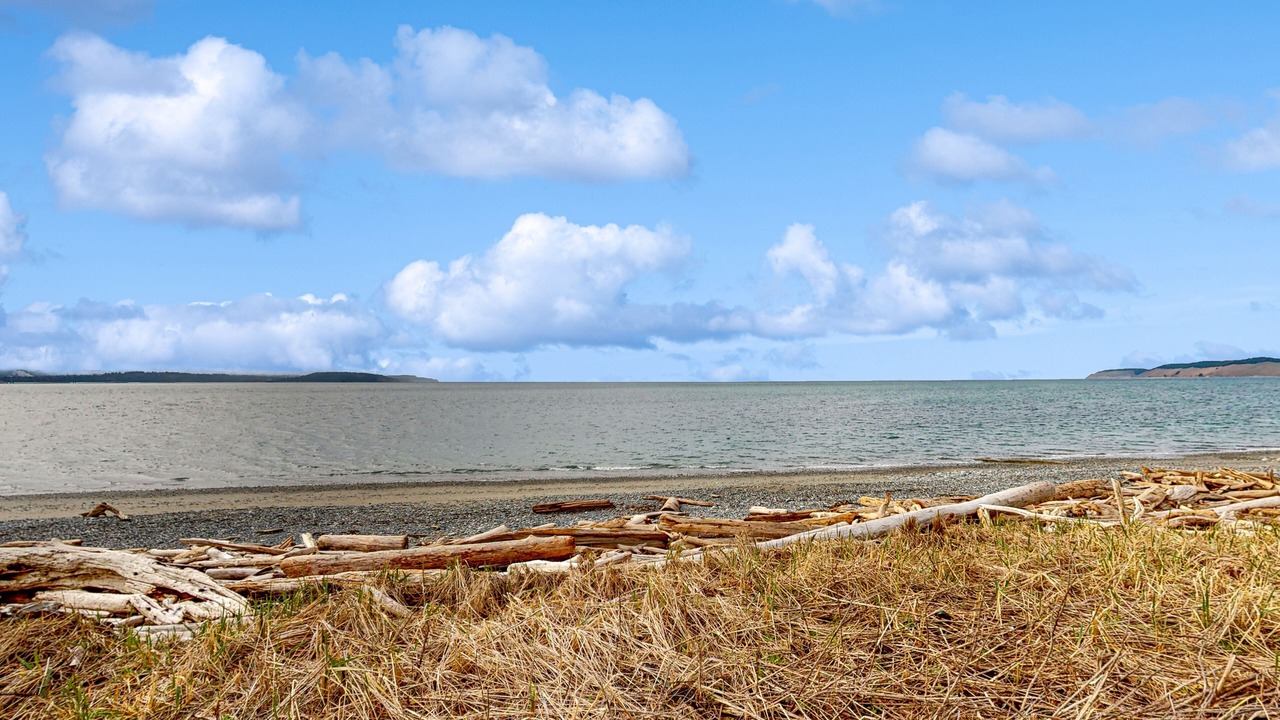 Photo of Others in Coupeville