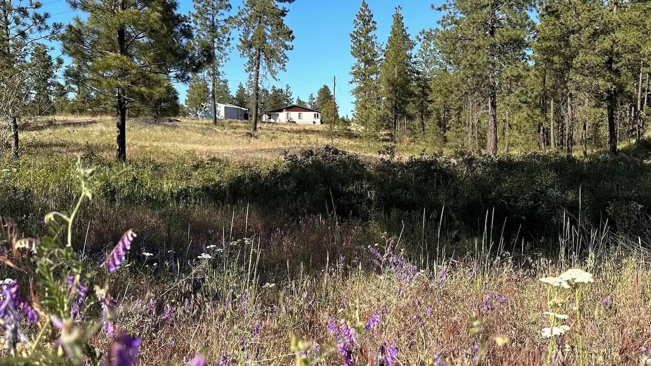 Photo of Outdoor in Mica
