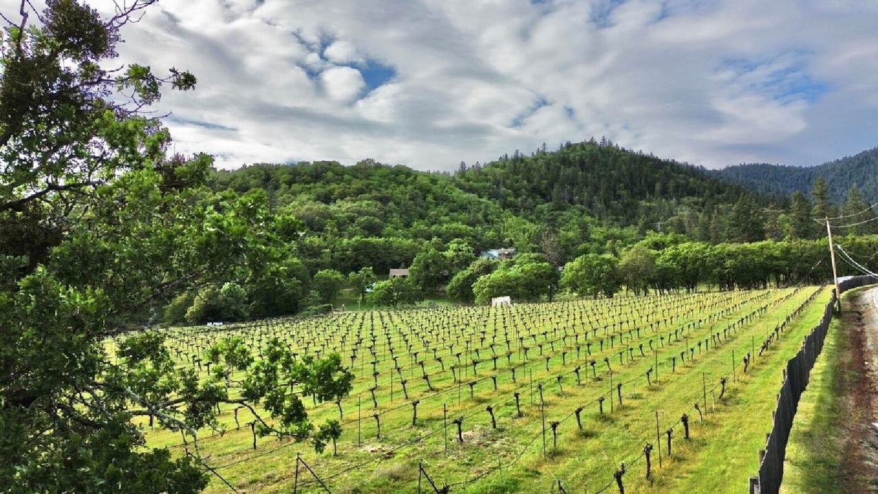 Photo of Outdoor in Grants Pass