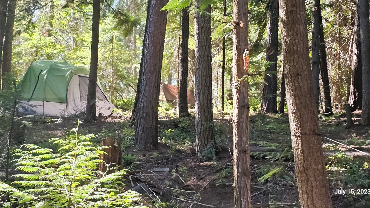 Photo of Outdoor in Usk