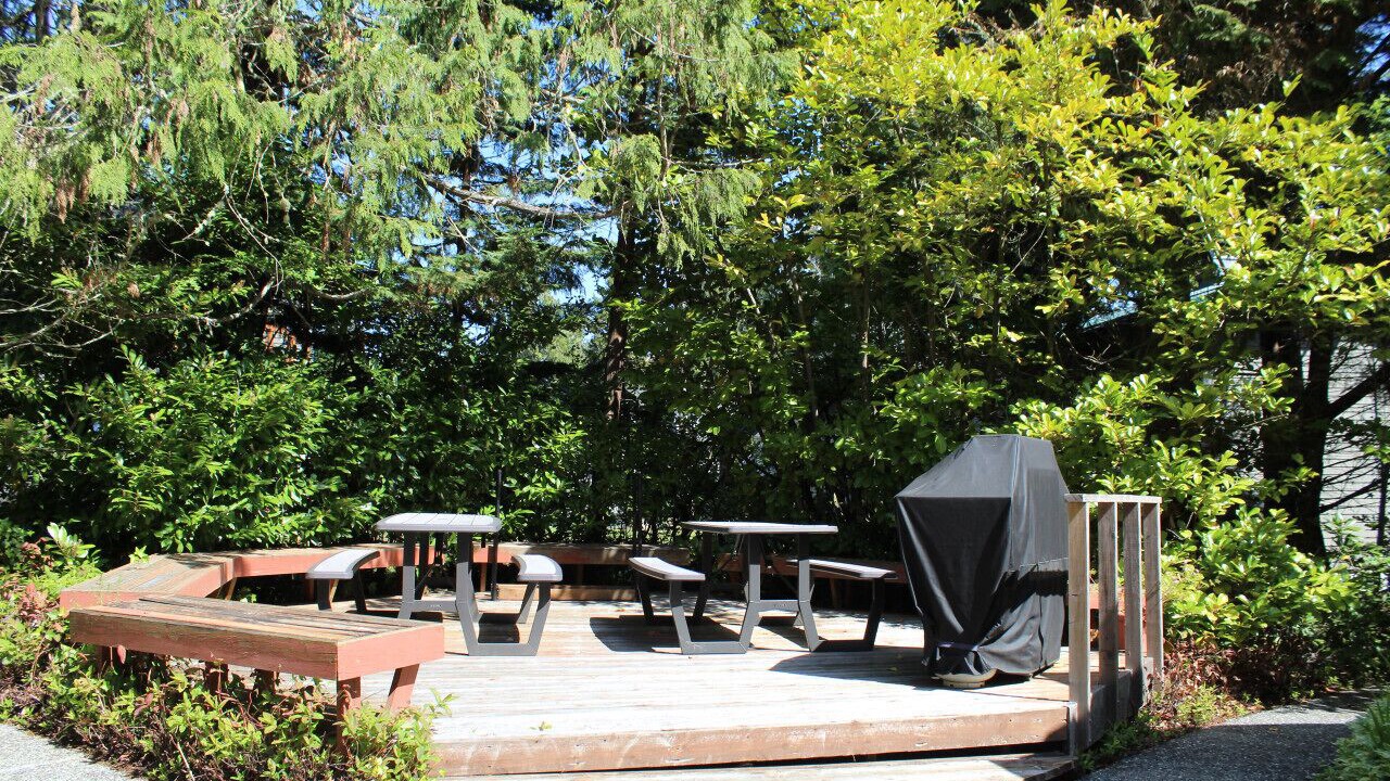 Photo of Outdoor in Sequim