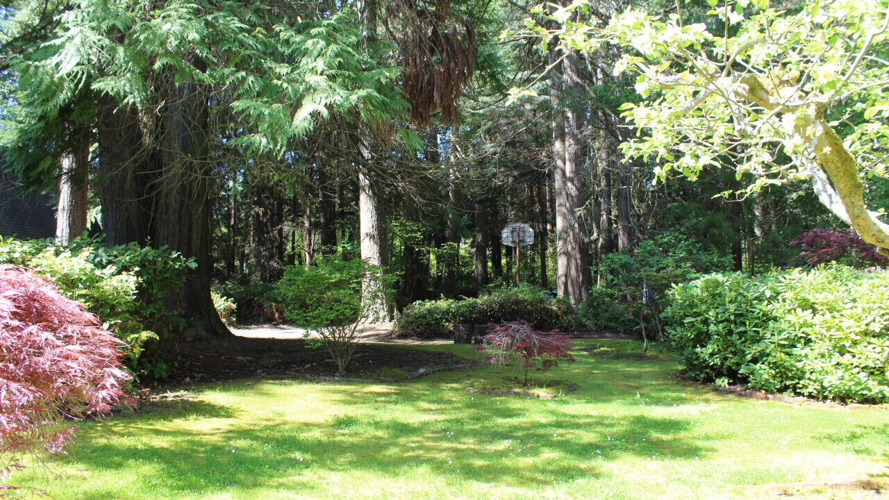Photo of Outdoor in Sequim
