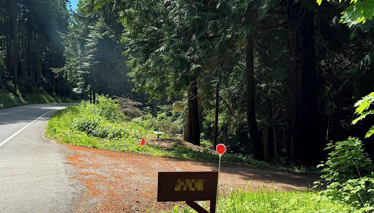 Photo of Outdoor in Camano Island