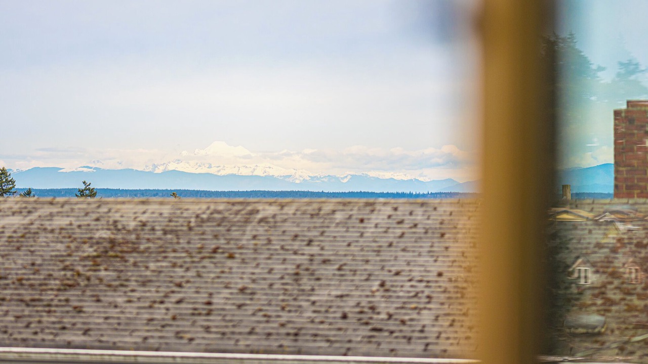 Photo of Others in Port Townsend