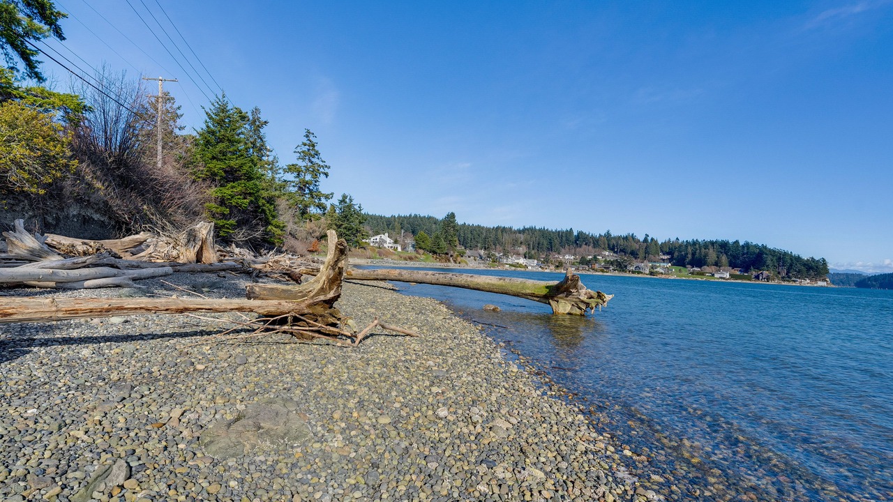 Photo of Others in Anacortes
