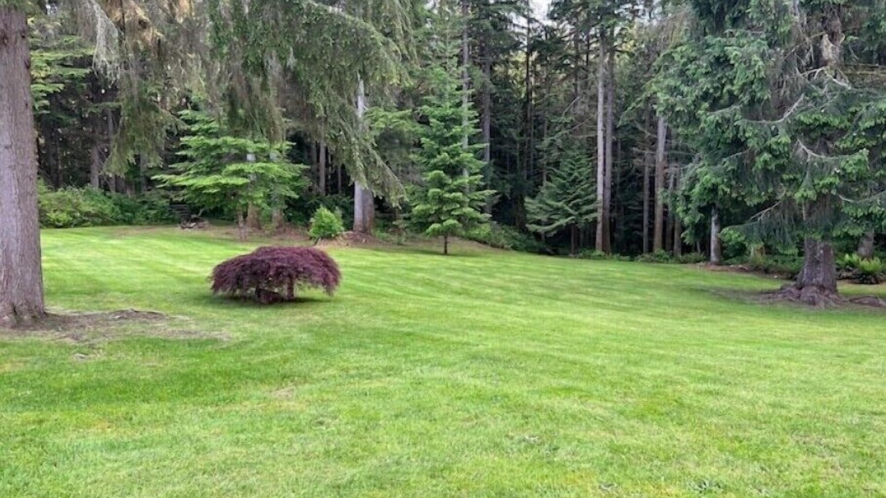 Photo of Others in Snohomish