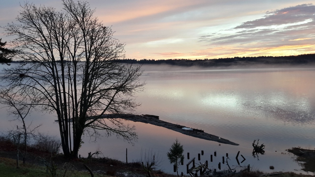 Photo of Outdoor in Silverdale