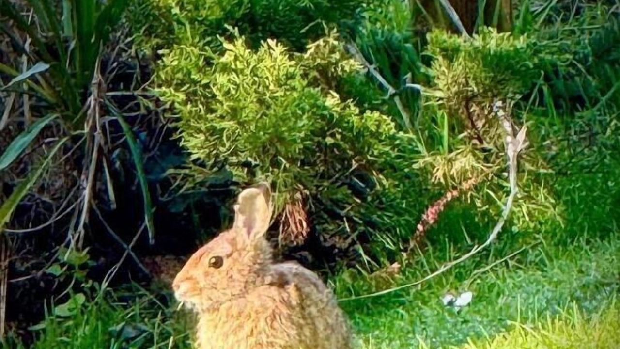 Photo of Others in Camano Island