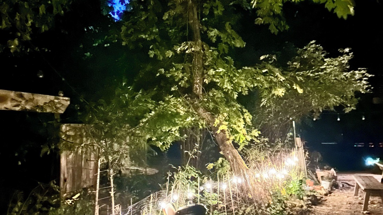Photo of Outdoor in Medford