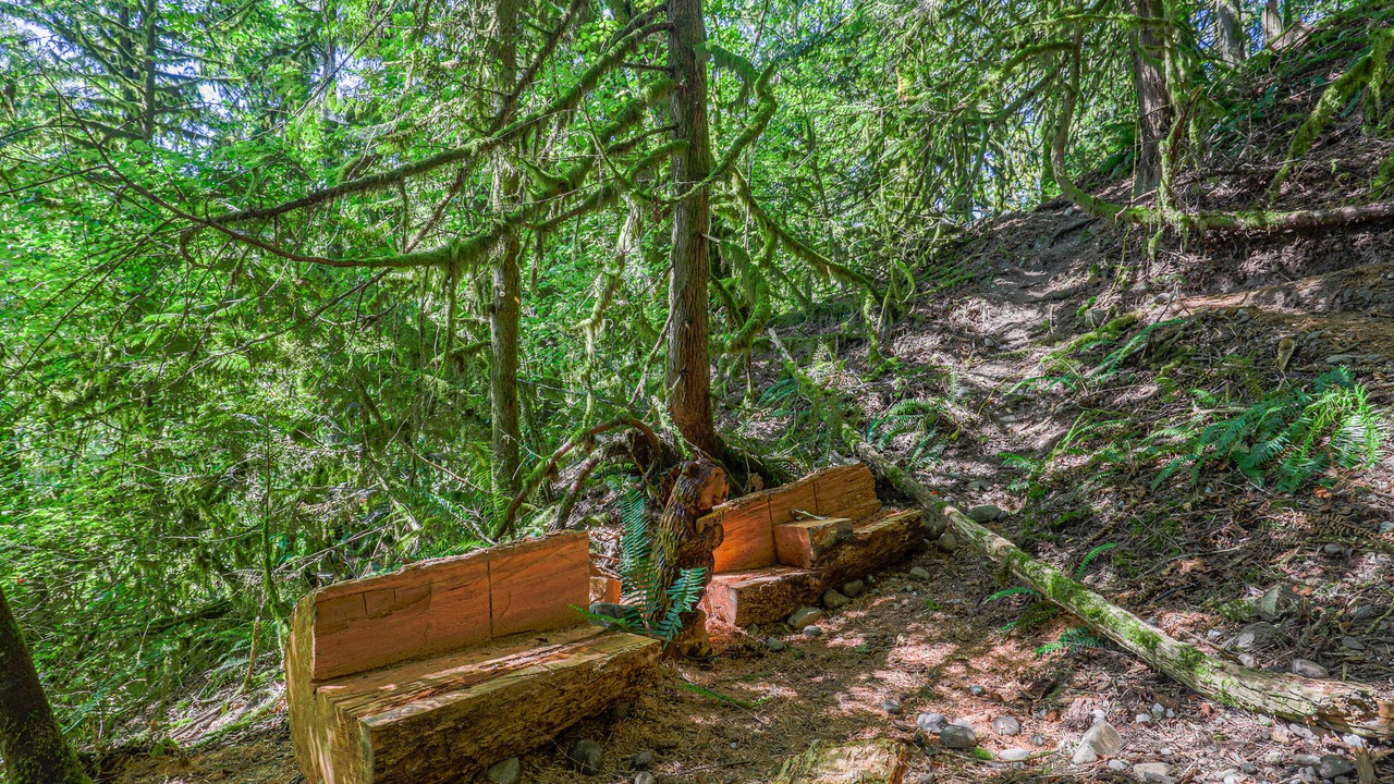 Photo of Outdoor in Duvall
