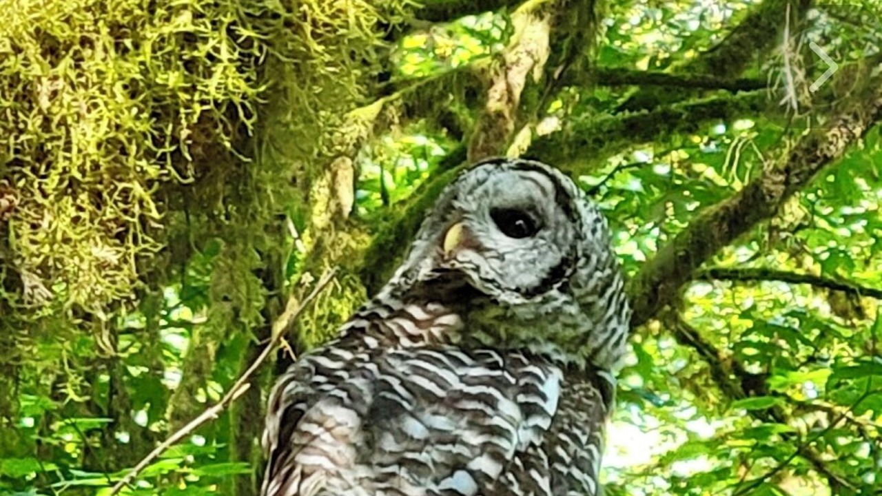 Photo of Others in Duvall