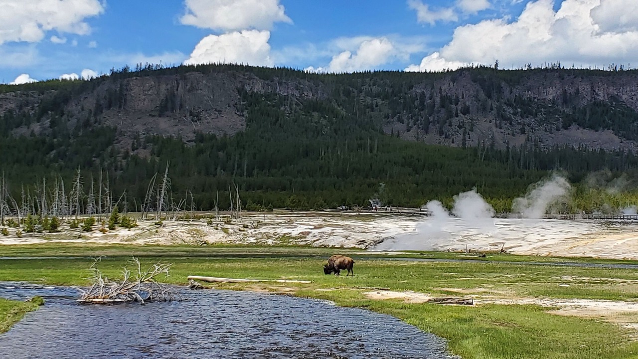 Photo of Outdoor in Rea