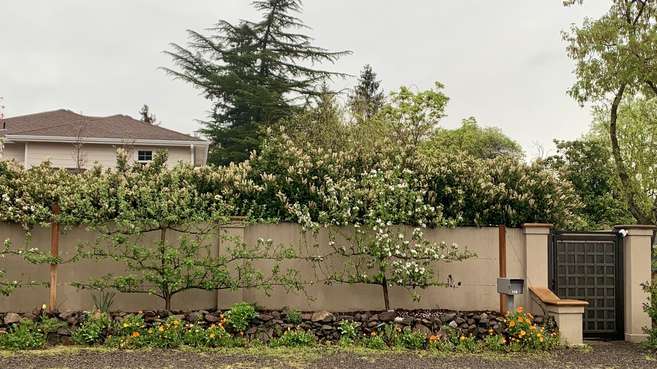 Photo of Outdoor in Medford