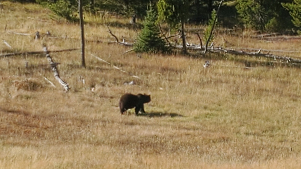 Photo of Outdoor in Rea