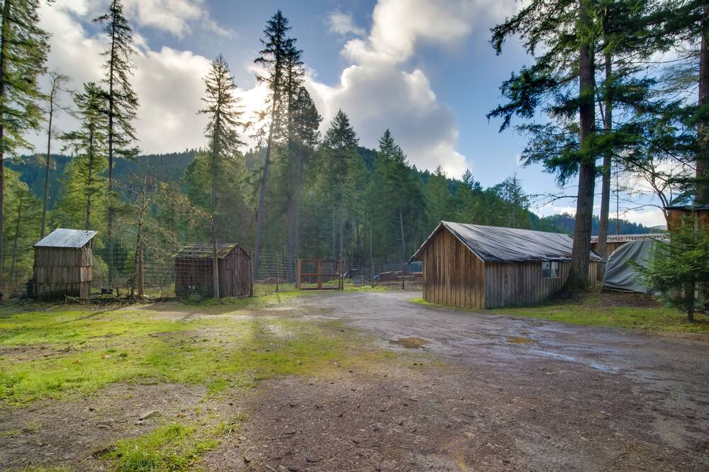 Photo of Outdoor in Wolf Creek