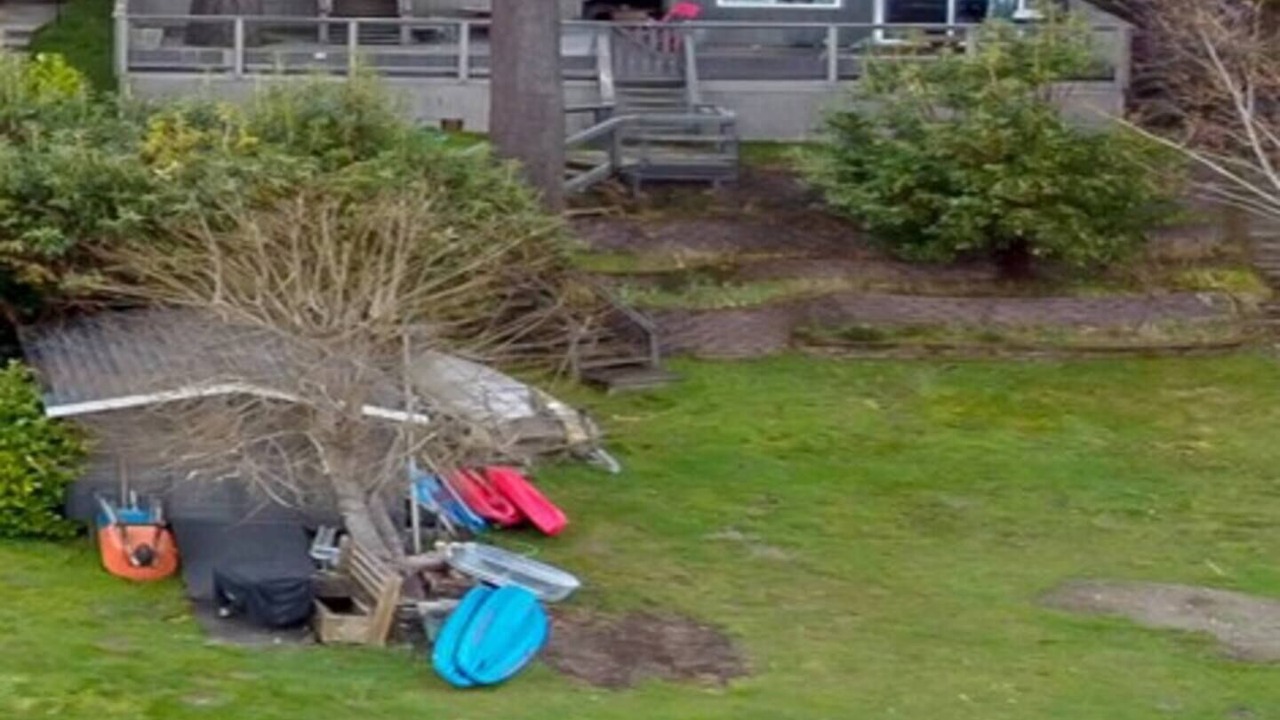 Photo of Outdoor in Yelm