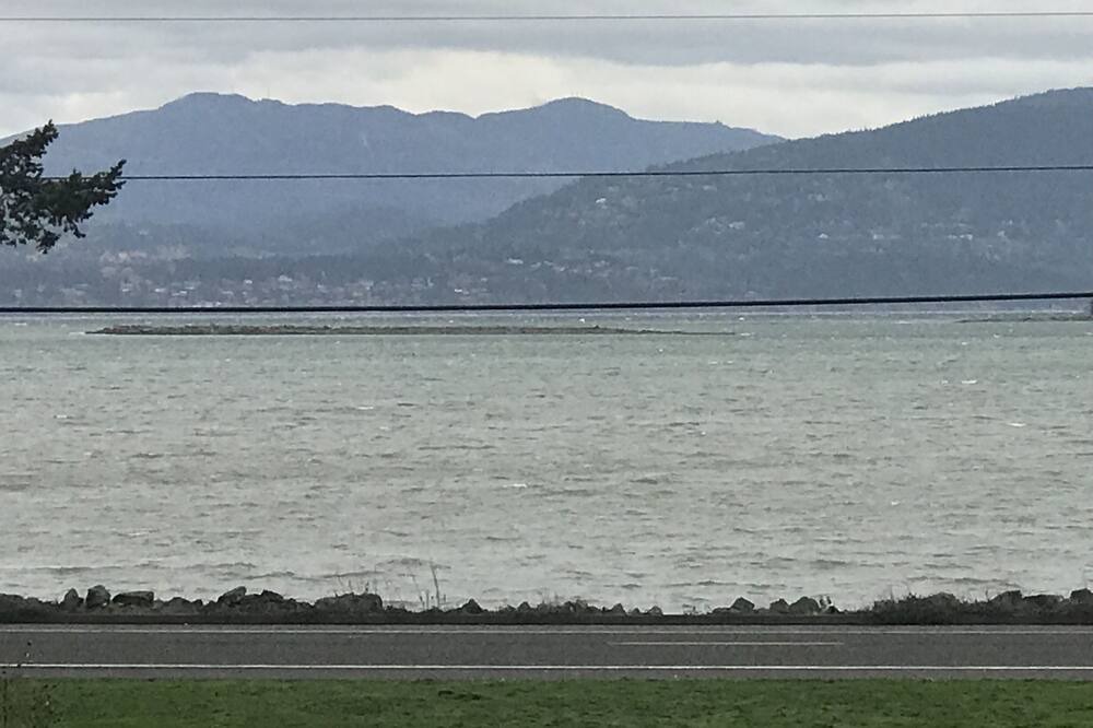 Photo of Others in Bellingham