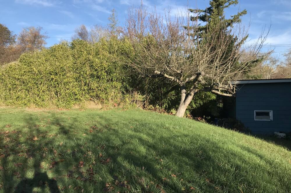 Photo of Outdoor in Bellingham